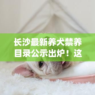 長沙最新養(yǎng)犬禁養(yǎng)目錄公示出爐！這些犬種被禁止飼養(yǎng)