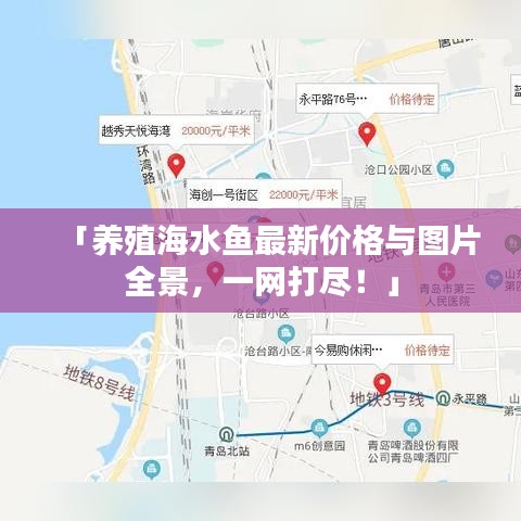 「養(yǎng)殖海水魚最新價格與圖片全景，一網(wǎng)打盡！」