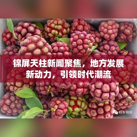 錦屏天柱新聞聚焦，地方發(fā)展新動力，引領時代潮流