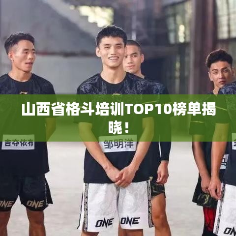 山西省格斗培訓(xùn)TOP10榜單揭曉！