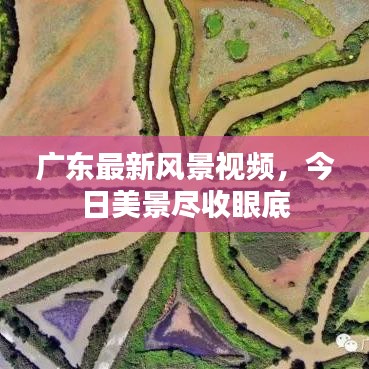廣東最新風景視頻，今日美景盡收眼底