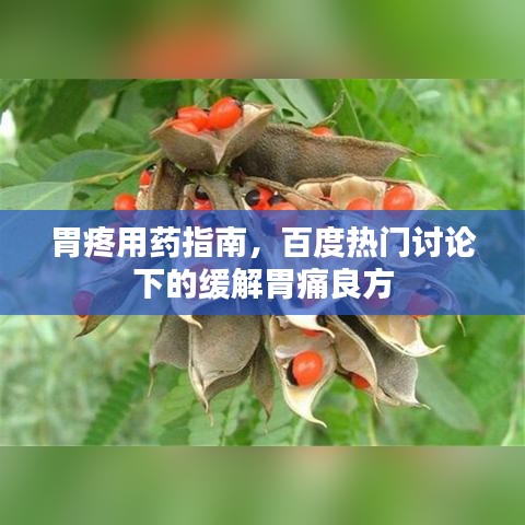 胃疼用藥指南，百度熱門討論下的緩解胃痛良方