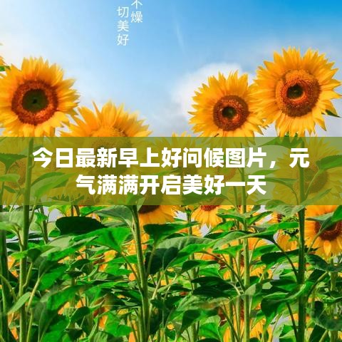今日最新早上好問候圖片，元氣滿滿開啟美好一天