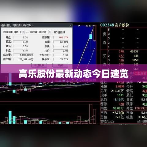 高樂股份最新動(dòng)態(tài)今日速覽