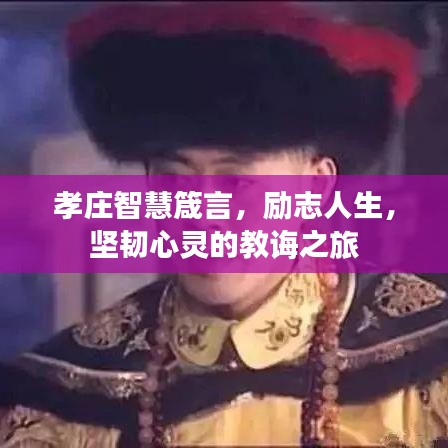 孝莊智慧箴言，勵(lì)志人生，堅(jiān)韌心靈的教誨之旅
