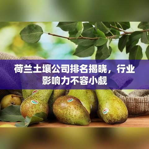 荷蘭土壤公司排名揭曉，行業(yè)影響力不容小覷