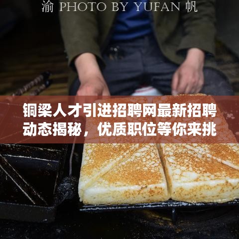 銅梁人才引進招聘網(wǎng)最新招聘動態(tài)揭秘，優(yōu)質(zhì)職位等你來挑！