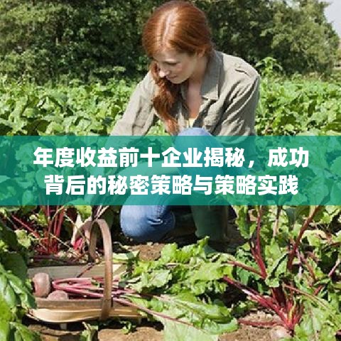 聯(lián)系我們 第31頁