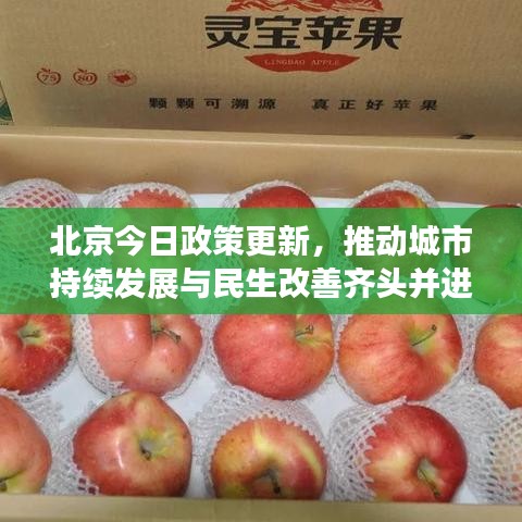 北京今日政策更新，推動城市持續(xù)發(fā)展與民生改善齊頭并進