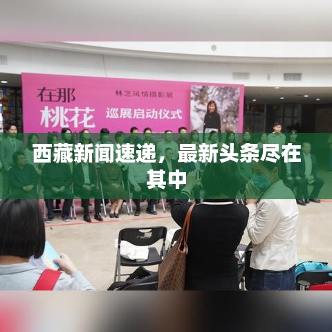 西藏新聞速遞，最新頭條盡在其中