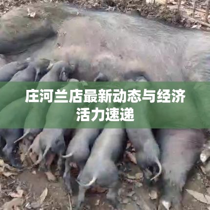 就湯下面 第2頁