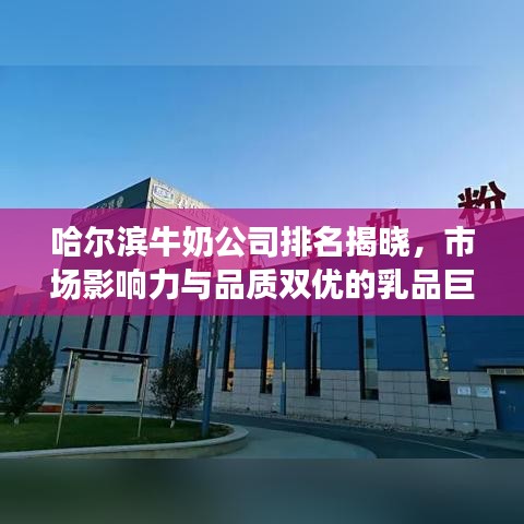 哈爾濱牛奶公司排名揭曉，市場影響力與品質(zhì)雙優(yōu)的乳品巨頭榜單