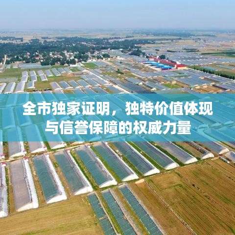 全市獨家證明，獨特價值體現(xiàn)與信譽保障的權威力量