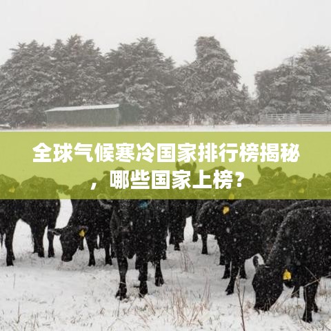 全球氣候寒冷國家排行榜揭秘，哪些國家上榜？