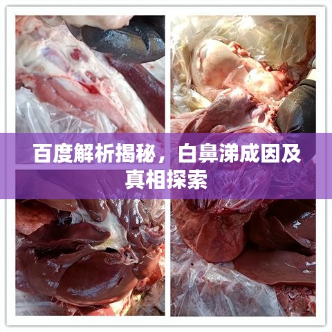 檢測設(shè)備 第30頁
