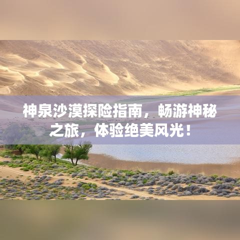 神泉沙漠探險(xiǎn)指南，暢游神秘之旅，體驗(yàn)絕美風(fēng)光！