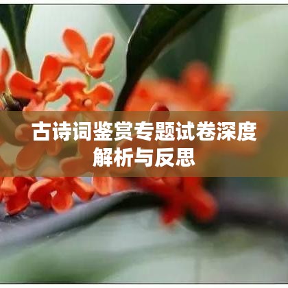 古詩(shī)詞鑒賞專(zhuān)題試卷深度解析與反思