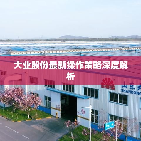 大業(yè)股份最新操作策略深度解析