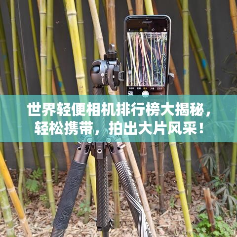 世界輕便相機(jī)排行榜大揭秘，輕松攜帶，拍出大片風(fēng)采！