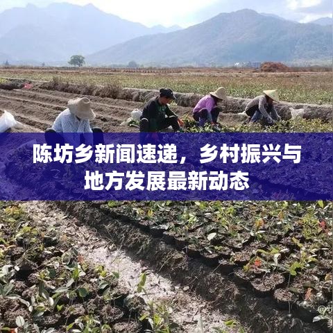 陳坊鄉(xiāng)新聞速遞，鄉(xiāng)村振興與地方發(fā)展最新動(dòng)態(tài)