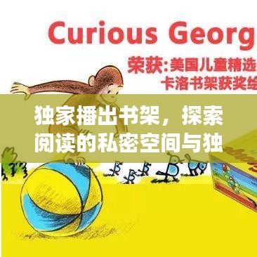 獨(dú)家播出書架，探索閱讀的私密空間與獨(dú)特魅力的探索之旅