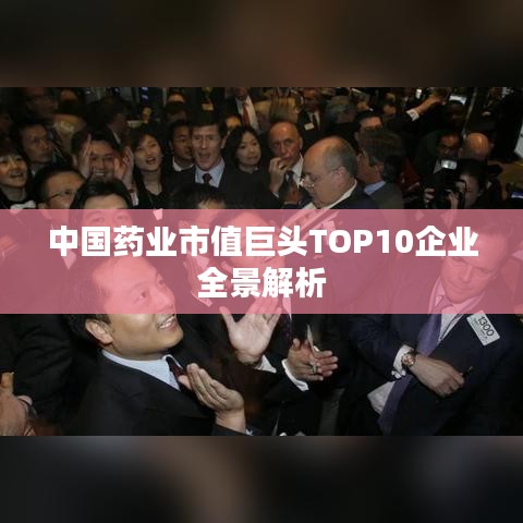 中國藥業(yè)市值巨頭TOP10企業(yè)全景解析