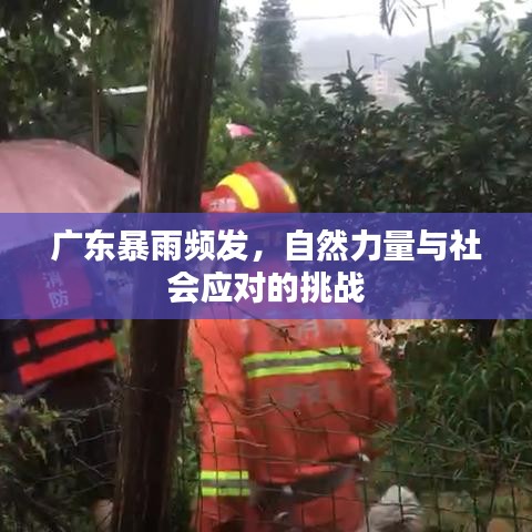 廣東暴雨頻發(fā)，自然力量與社會應(yīng)對的挑戰(zhàn)