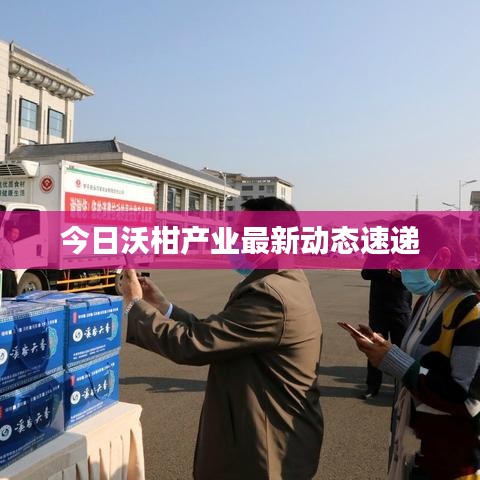 地老天荒 第2頁