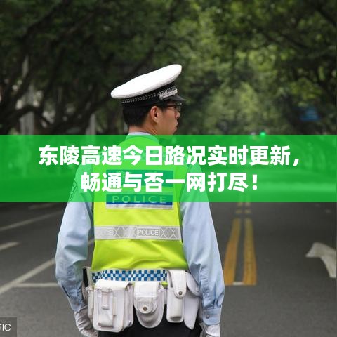東陵高速今日路況實(shí)時(shí)更新，暢通與否一網(wǎng)打盡！