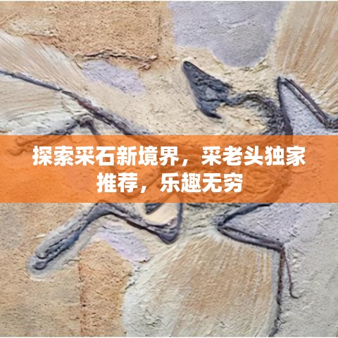 探索采石新境界，采老頭獨(dú)家推薦，樂趣無窮