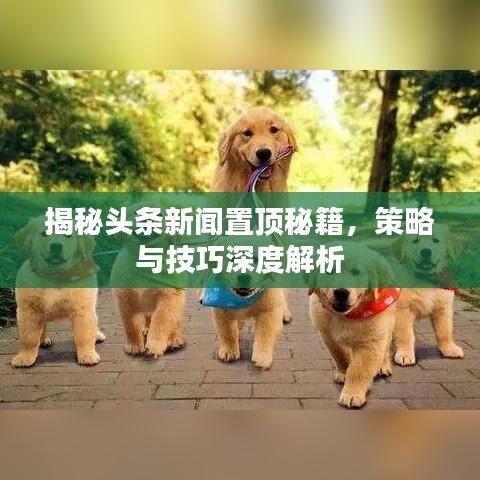 揭秘頭條新聞置頂秘籍，策略與技巧深度解析