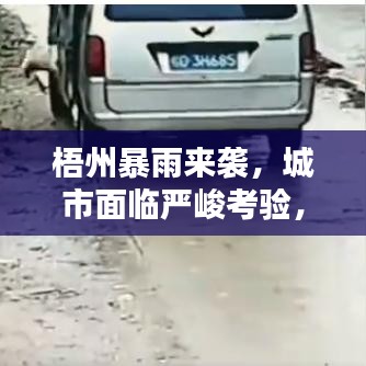 梧州暴雨來襲，城市面臨嚴峻考驗，岺溪成災考驗應對能力