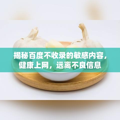 揭秘百度不收錄的敏感內(nèi)容，健康上網(wǎng)，遠(yuǎn)離不良信息