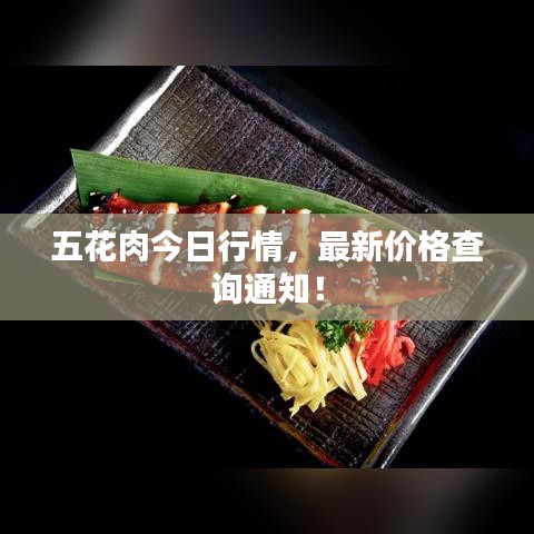 五花肉今日行情，最新價格查詢通知！