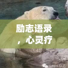 勵志語錄，心靈療愈的力量源泉，傷心時的溫暖安慰