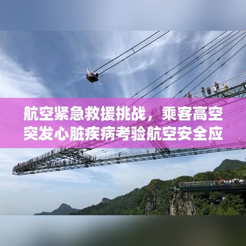 航空緊急救援挑戰(zhàn)，乘客高空突發(fā)心臟疾病考驗航空安全應對能力