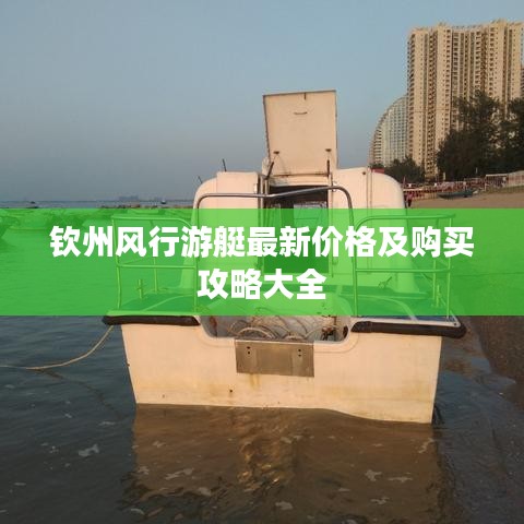 欽州風(fēng)行游艇最新價(jià)格及購(gòu)買攻略大全