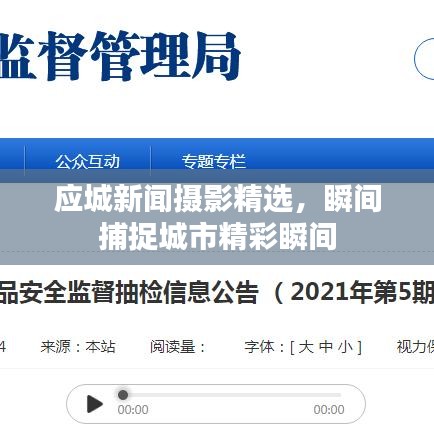 應(yīng)城新聞攝影精選，瞬間捕捉城市精彩瞬間