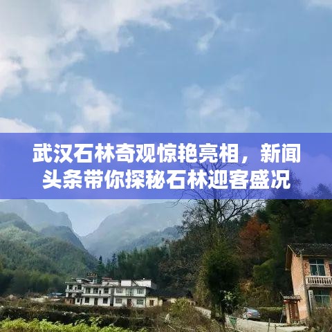 武漢石林奇觀驚艷亮相，新聞?lì)^條帶你探秘石林迎客盛況