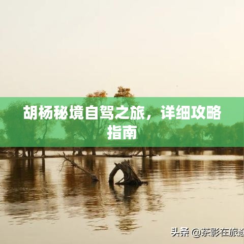 將計(jì)就計(jì) 第2頁