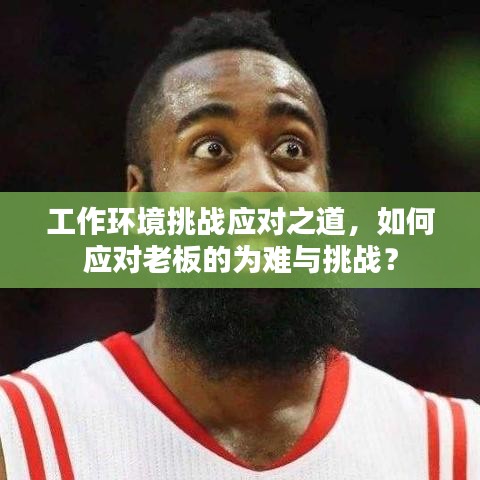工作環(huán)境挑戰(zhàn)應(yīng)對(duì)之道，如何應(yīng)對(duì)老板的為難與挑戰(zhàn)？