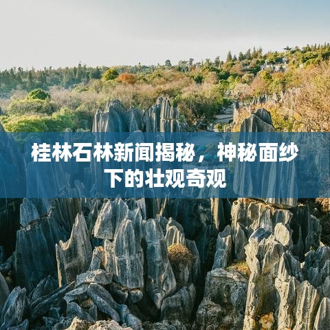 桂林石林新聞揭秘，神秘面紗下的壯觀奇觀