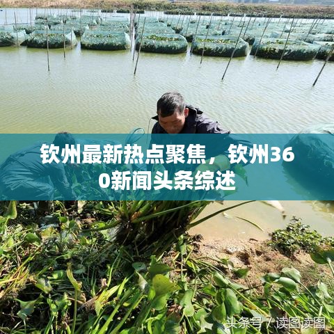 欽州最新熱點聚焦，欽州360新聞頭條綜述