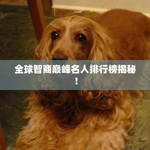 全球智商巔峰名人排行榜揭秘！