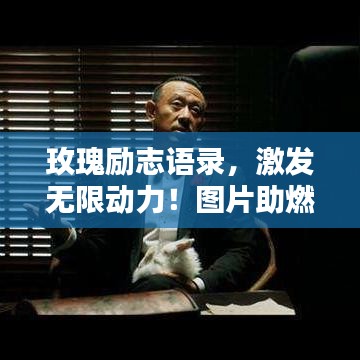 玫瑰勵志語錄，激發(fā)無限動力！圖片助燃心靈之火