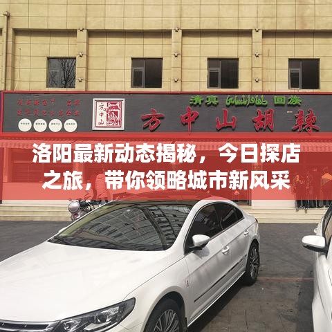 洛陽最新動態(tài)揭秘，今日探店之旅，帶你領(lǐng)略城市新風(fēng)采