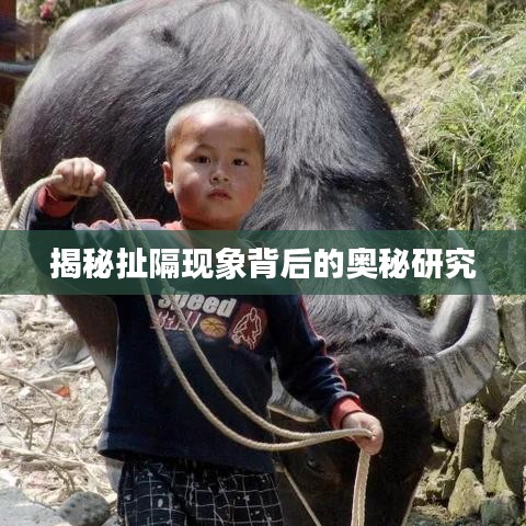 揭秘扯隔現(xiàn)象背后的奧秘研究