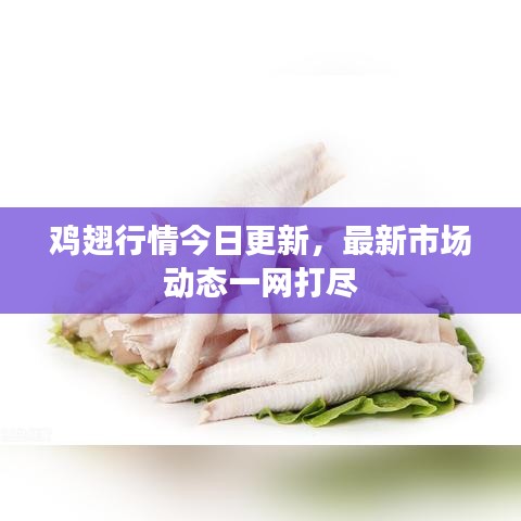 雞翅行情今日更新，最新市場(chǎng)動(dòng)態(tài)一網(wǎng)打盡