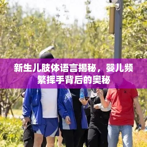 新生兒肢體語(yǔ)言揭秘，嬰兒頻繁揮手背后的奧秘