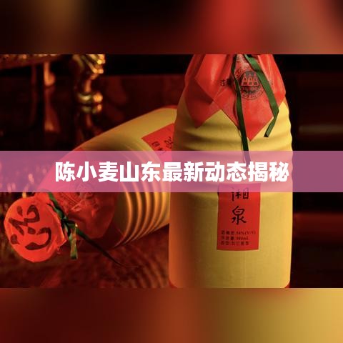 陳小麥山東最新動(dòng)態(tài)揭秘